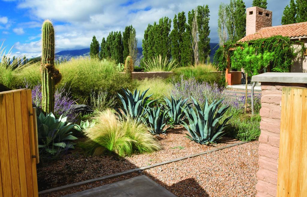 Adobe Charm Villa Cafayate Eksteriør billede